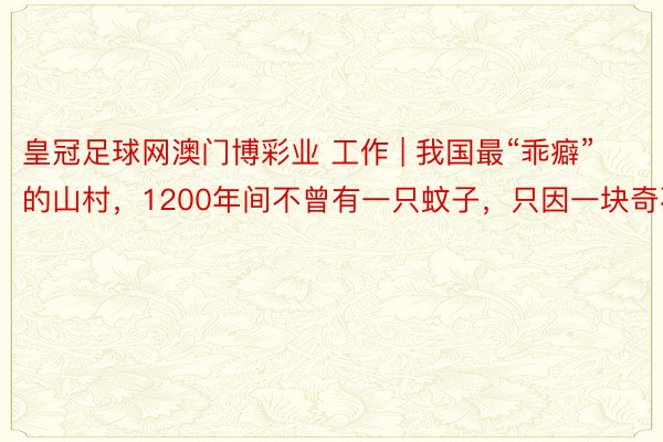 皇冠足球网澳门博彩业 工作 | 我国最“乖癖”的山村，1200年间不曾有一只蚊子，只因一块奇石