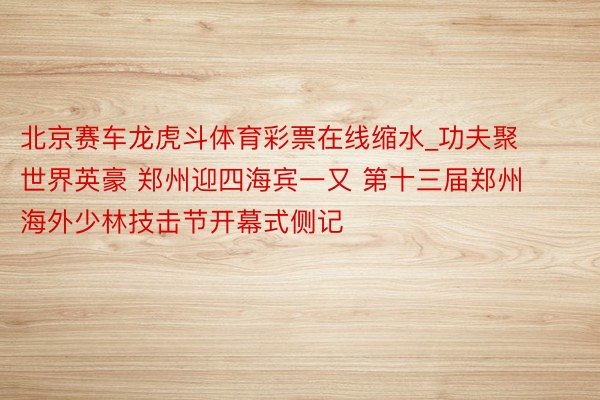北京赛车龙虎斗体育彩票在线缩水_功夫聚世界英豪 郑州迎四海宾一又 第十三届郑州海外少林技击节开幕式侧记